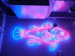 Néon led 60